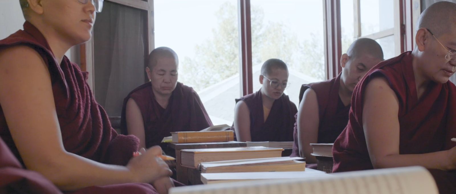 Buddhist nuns studying texts at low desks, backlit by bright windows